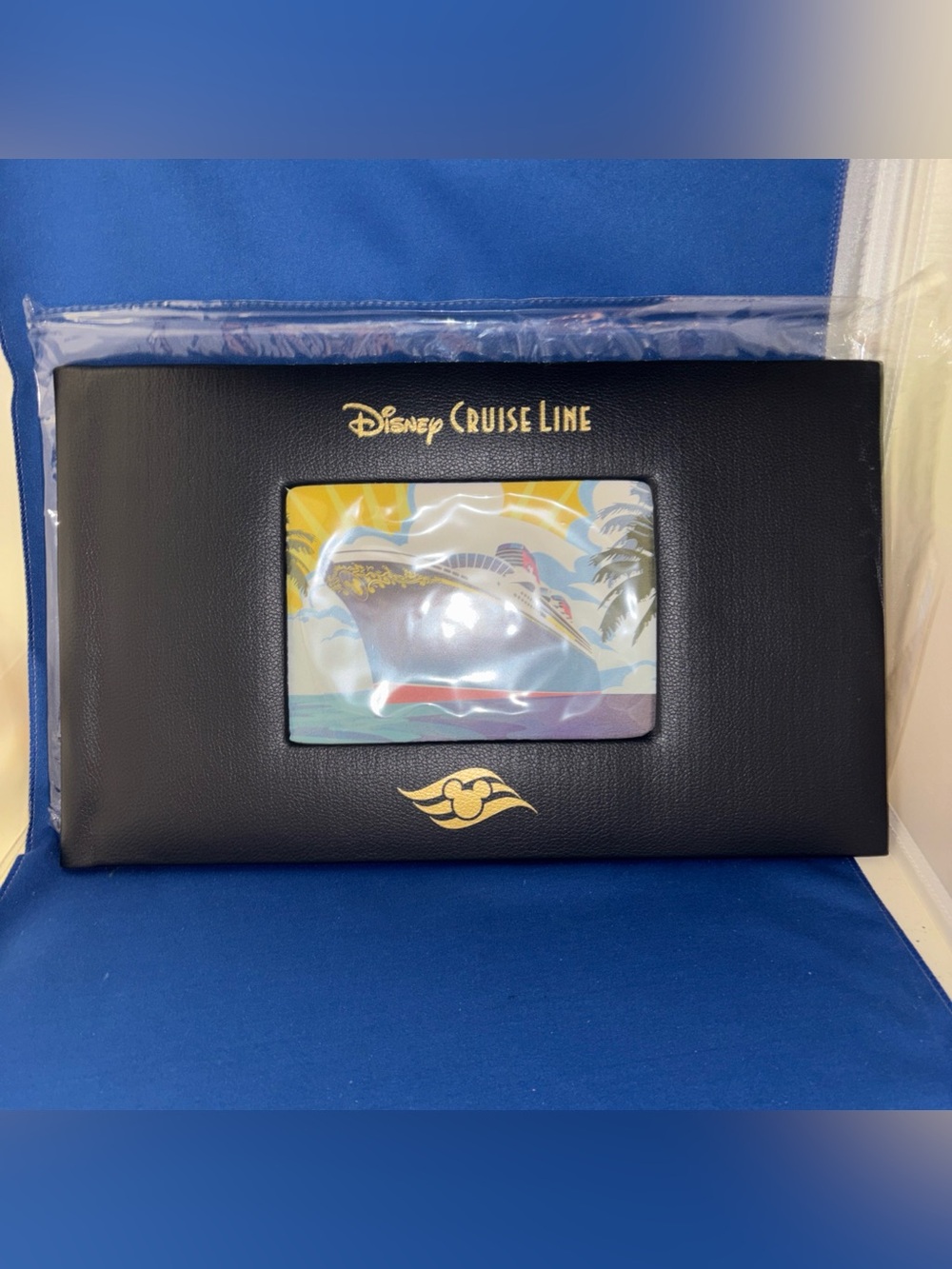 Disney Cruise Line 4x6 Picture Frame New In Open Package